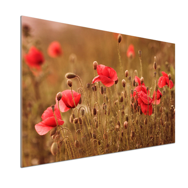 Spatplaat keuken klaprozen drieluik