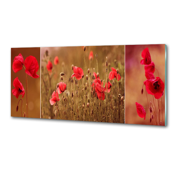 Spatplaat keuken klaprozen drieluik