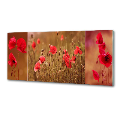 Spatplaat keuken klaprozen drieluik