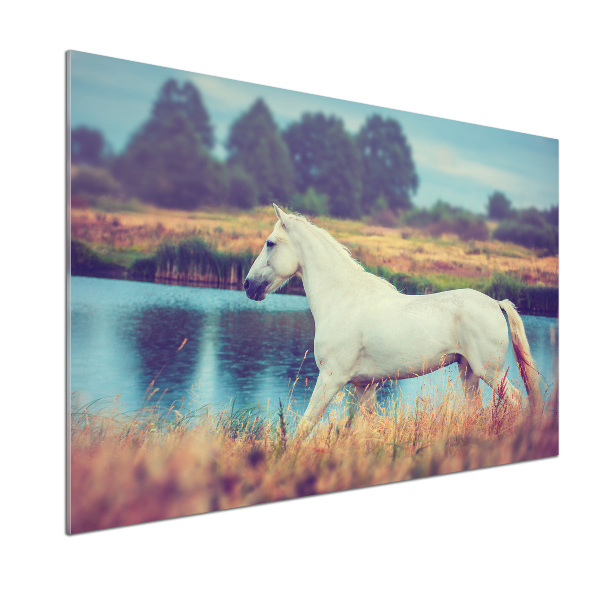 Keuken achterwand Wit Paardenmeer