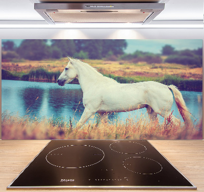Keuken achterwand Wit Paardenmeer