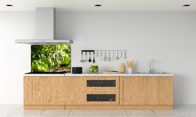 Achterwand keuken Witte wijn en fruit