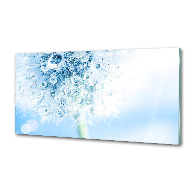 Keuken achterwand Paardebloem