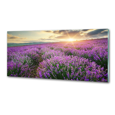 Spatscherm keuken Lavendelveld