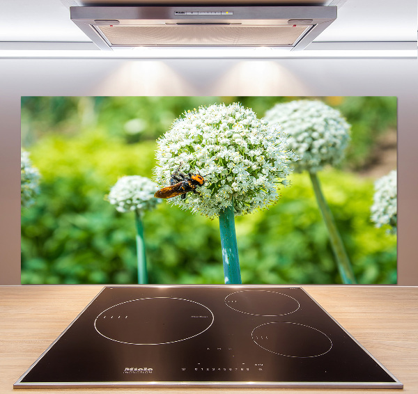 Spatscherm keuken Bloeiende knoflook