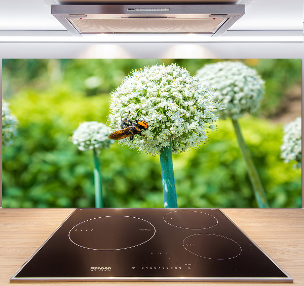 Spatscherm keuken Bloeiende knoflook