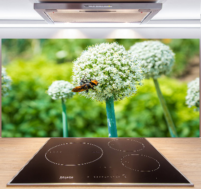 Spatscherm keuken Bloeiende knoflook