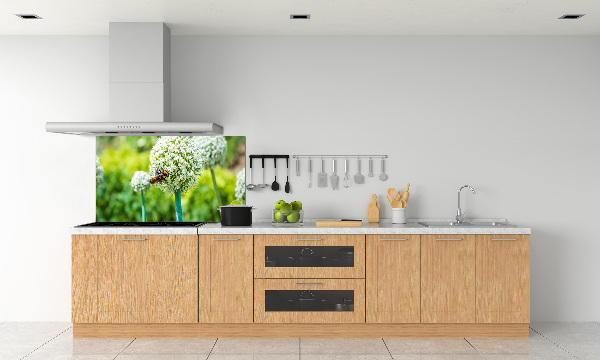 Spatscherm keuken Bloeiende knoflook