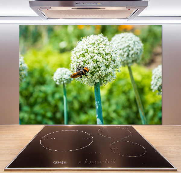 Spatscherm keuken Bloeiende knoflook