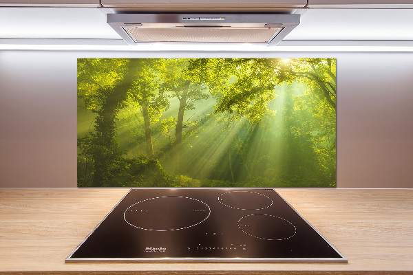 Spatscherm keuken Bos in de zon