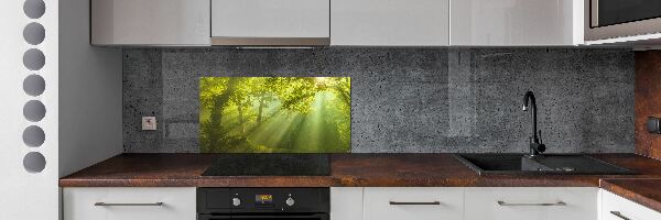 Spatscherm keuken Bos in de zon