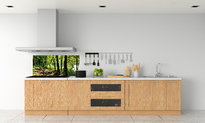 Keuken achterwand Pad in de weide