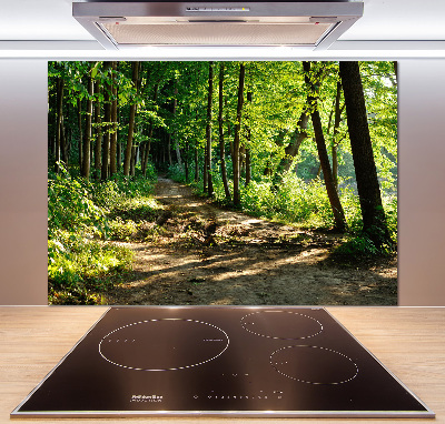 Keuken achterwand Pad in de weide