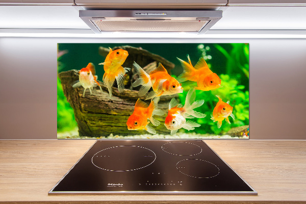 Glazen achterwand keuken Goudvis