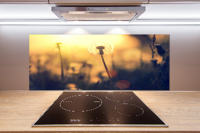 Keuken achterwand Paardebloem