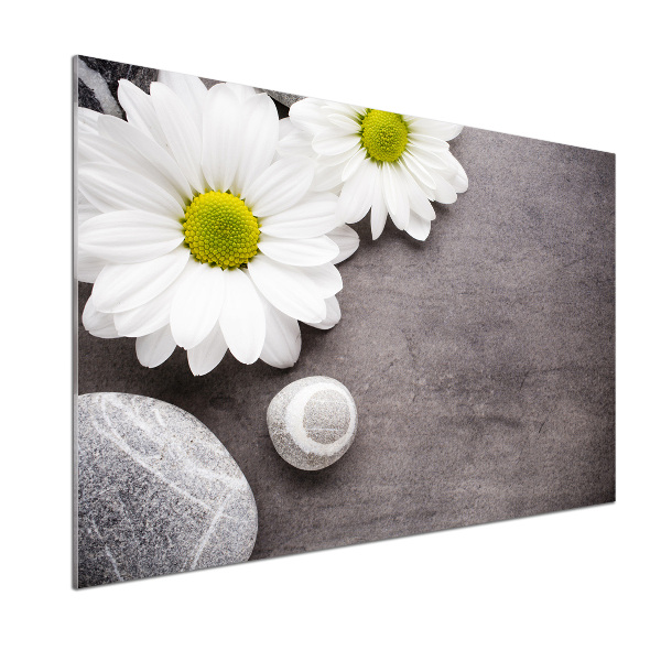 Spatscherm keuken Gerbera