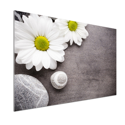 Spatscherm keuken Gerbera