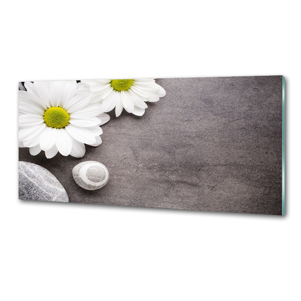 Spatscherm keuken Gerbera