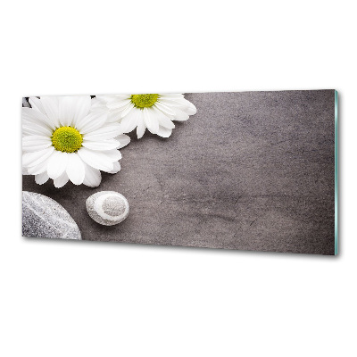 Spatscherm keuken Gerbera