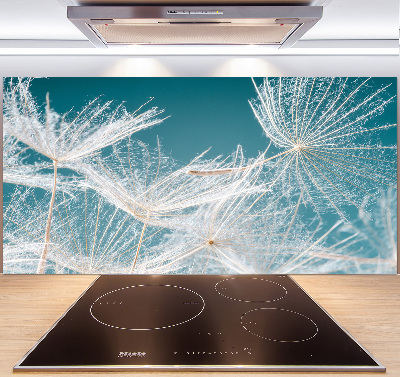 Spatplaat keuken Paardenbloemzaden