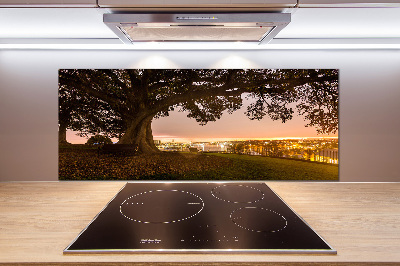 Achterwand keuken Oude boom