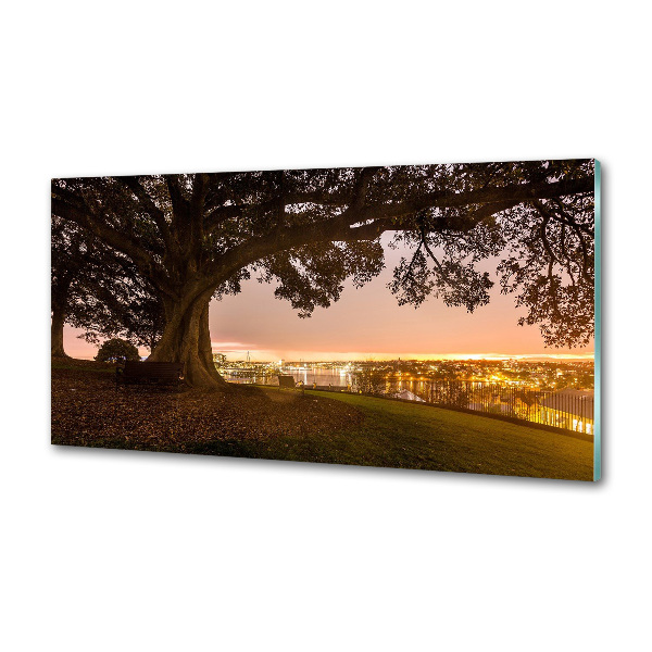 Achterwand keuken Oude boom