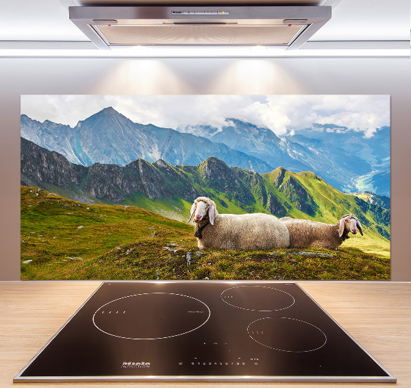Glazen achterwand keuken Schapen in de Alpen