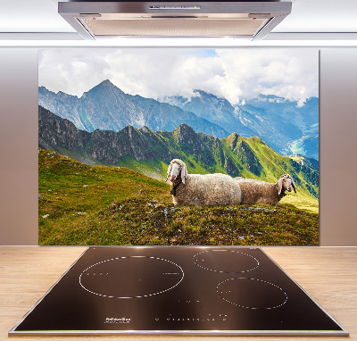 Glazen achterwand keuken Schapen in de Alpen