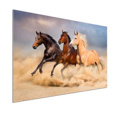 Spatscherm keuken Paarden in galop