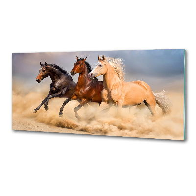 Spatscherm keuken Paarden in galop