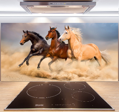 Spatscherm keuken Paarden in galop