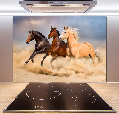 Spatscherm keuken Paarden in galop