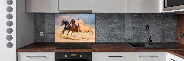 Spatscherm keuken Paarden in galop