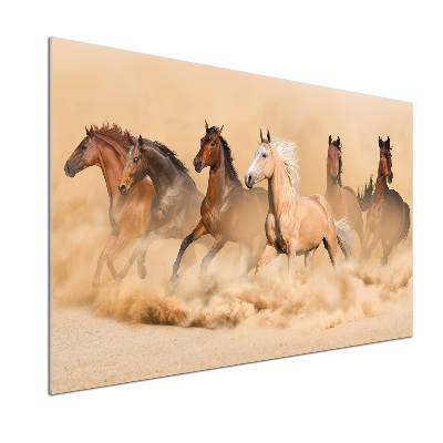 Spatplaat keuken Woestijnpaarden