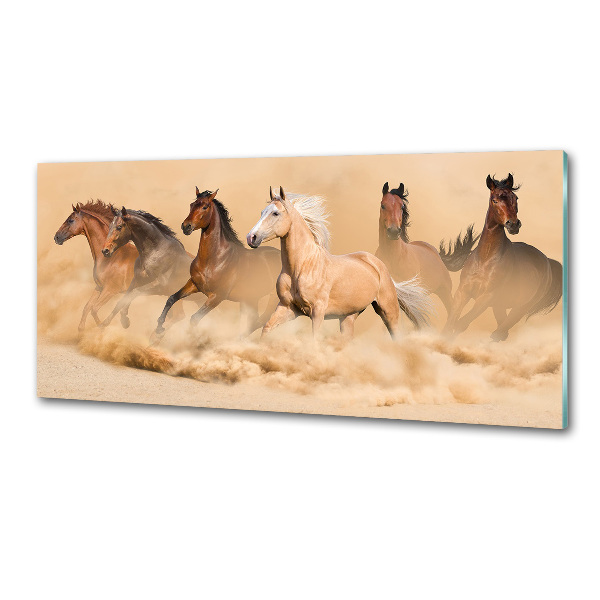 Spatplaat keuken Woestijnpaarden