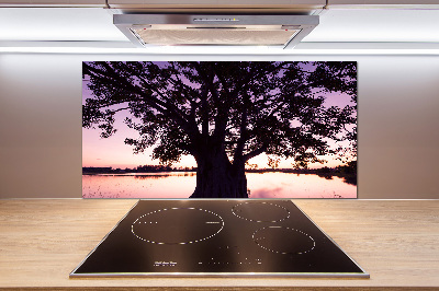 Keuken achterwand Boom en meer