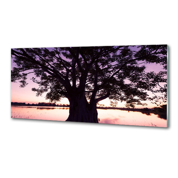 Keuken achterwand Boom en meer