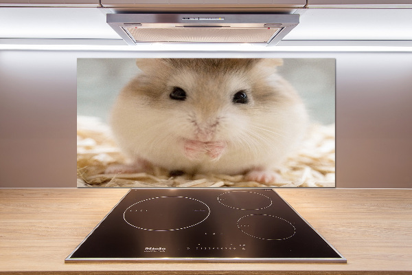 Keuken achterwand Hamster