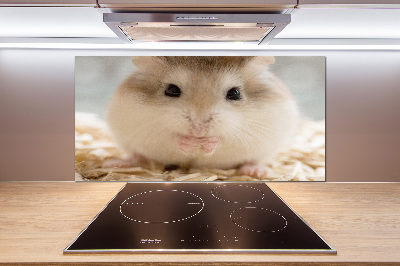Keuken achterwand Hamster