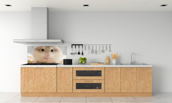 Keuken achterwand Hamster