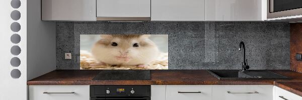 Keuken achterwand Hamster