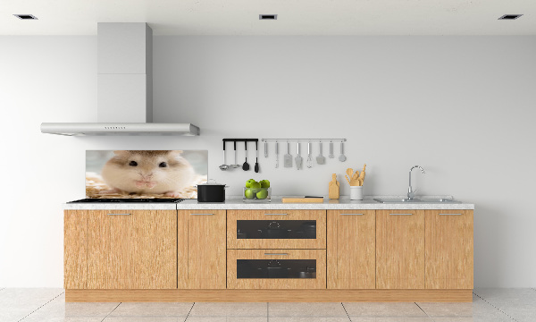 Keuken achterwand Hamster