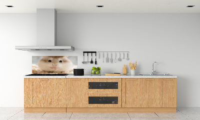 Keuken achterwand Hamster