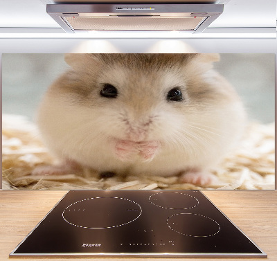 Keuken achterwand Hamster
