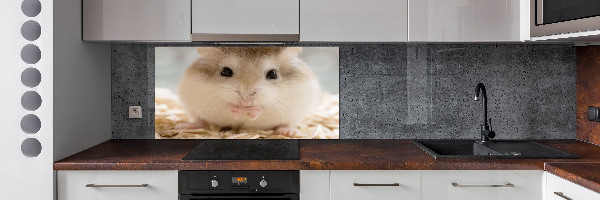 Keuken achterwand Hamster