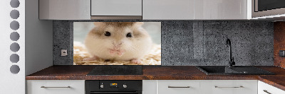 Keuken achterwand Hamster