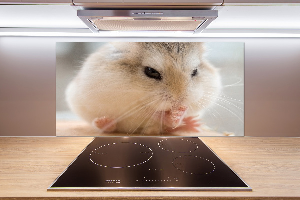 Glazen achterwand keuken Hamster