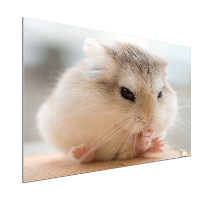 Glazen achterwand keuken Hamster