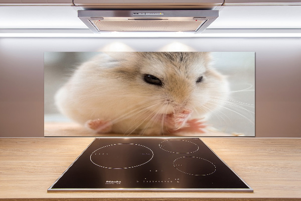 Glazen achterwand keuken Hamster