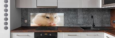Glazen achterwand keuken Hamster